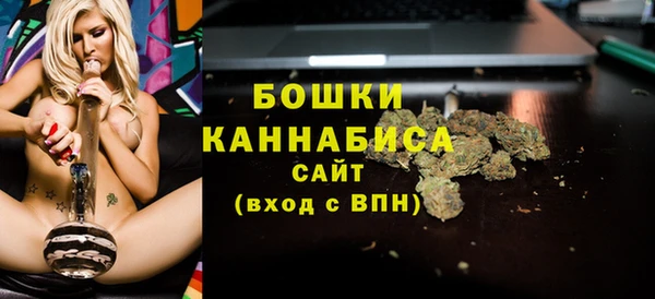 a pvp Горняк