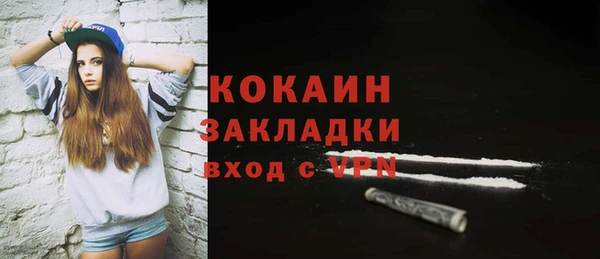 a pvp Горняк